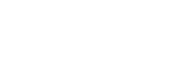 BGX partner logo